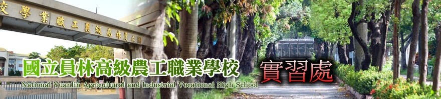 小葉欖仁
