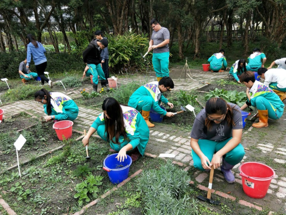 3.香草種植課程