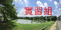 實習組