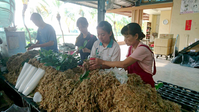 105學年度第1學期-電子媒體 105學年度第1學期-電子媒體